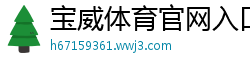 宝威体育官网入口网站